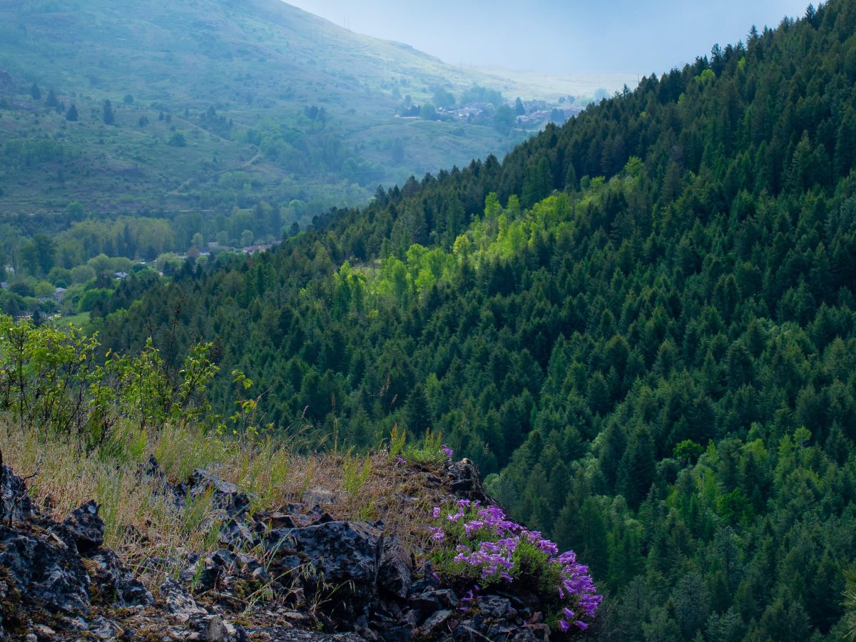 The hills of&nbsp;history