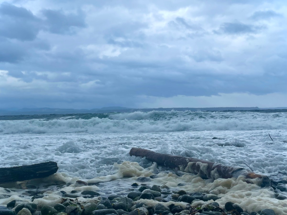Man above the&nbsp;Sea