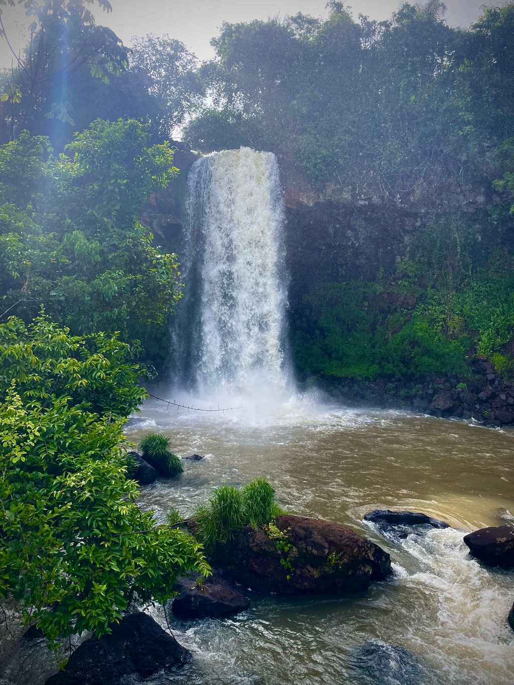 The lie and the&nbsp;coin.